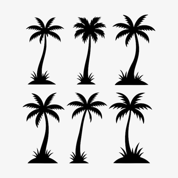 Siluetas de las palmeras