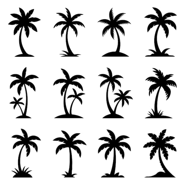Siluetas de las palmeras