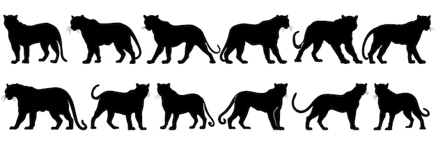 Siluetas de pantera conjunto gran paquete de diseño de silueta vectorial aislado fondo blanco