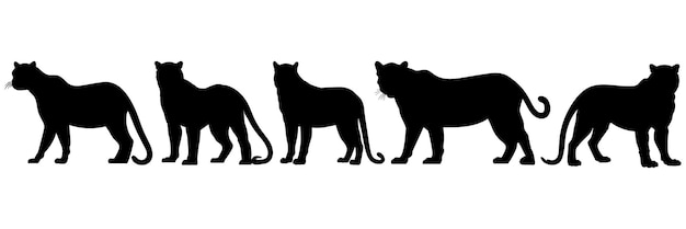 Siluetas de pantera conjunto gran paquete de diseño de silueta vectorial aislado fondo blanco