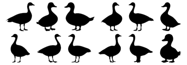 siluetas de pato conjunto de pájaros paquete de diseño de silueta vectorial fondo aislado