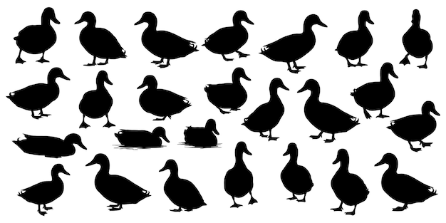 Siluetas de pato