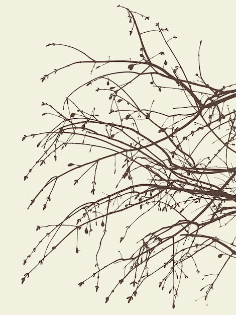 Vector siluetas pelucas de árbol de hoja caduca con brotes de primavera
