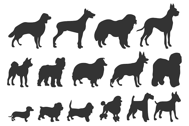 Vector siluetas de perros varias razas doberman malamute y labrador caniche y corgi bulldog y pug conjunto de vectores aislados colección de mascotas o animales domésticos como collie akita y dachshund eps