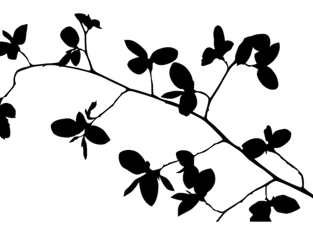 Siluetas de plantas como imágenes vectoriales