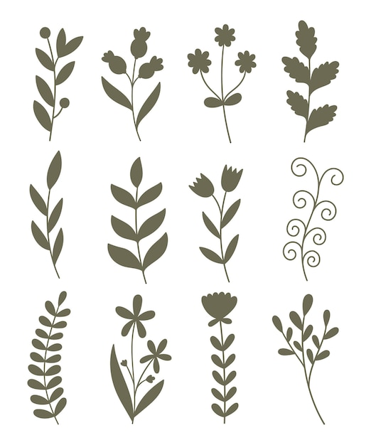 siluetas de plantas y flores