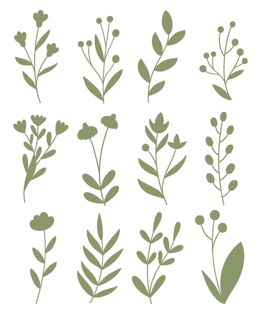 siluetas de plantas y flores