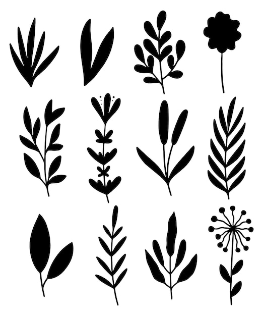 siluetas de plantas y flores