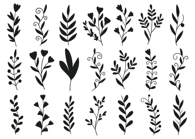 siluetas de plantas y flores