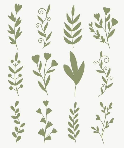 siluetas de plantas y flores