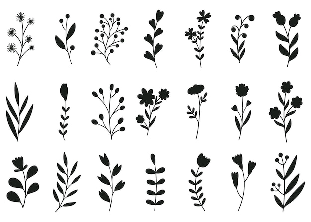 siluetas de plantas y flores