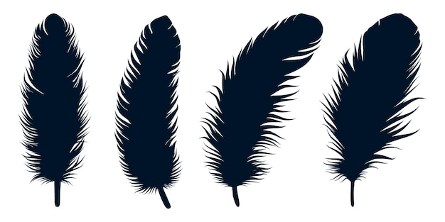 Siluetas de plumas de diferentes tipos de aves vector