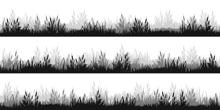 Vector siluetas de prado con plantas de hierba en la llanura paisaje panorámico de césped de verano con hierbas diversas