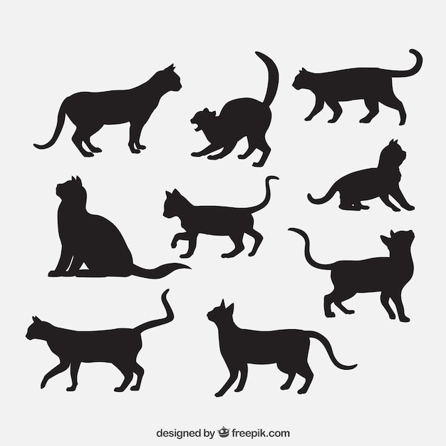 Vector siluetas de razas de gato