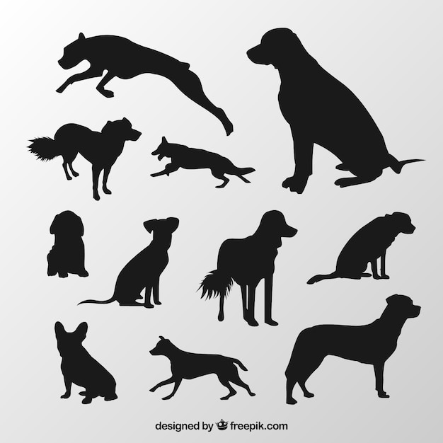 Vector siluetas de las razas de perros