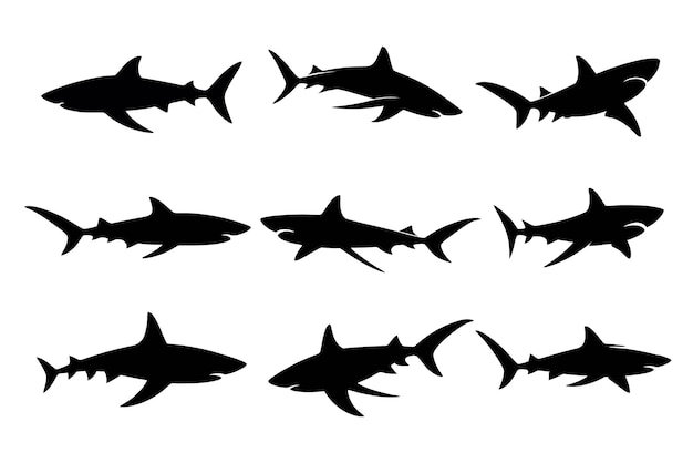 Las siluetas de los tiburones Una colección de depredadores marinos