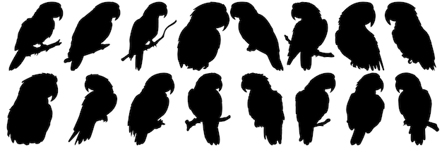 siluetas tropicales de loro conjunto gran paquete de diseño de silueta vectorial fondo blanco aislado