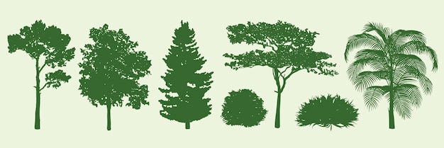 Siluetas de varios árboles, incluidas las palmeras de pino y los tipos de hojas caducas Siluetes de árboles verdes en un fondo claro Diversas formas y tamaños de árboles Ilustraciones de la naturaleza Conjunto vectorial de elementos aislados