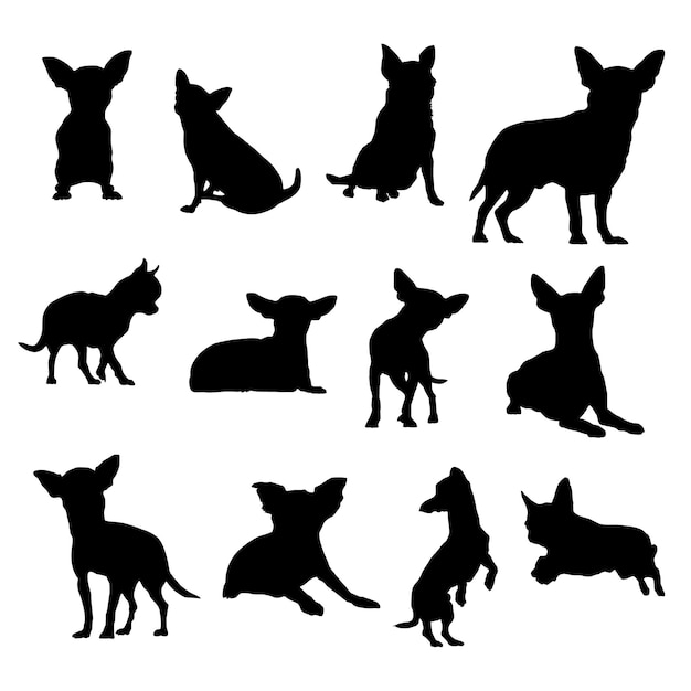 Siluetas de vector de perro Chihuahua Ilustración Eps10