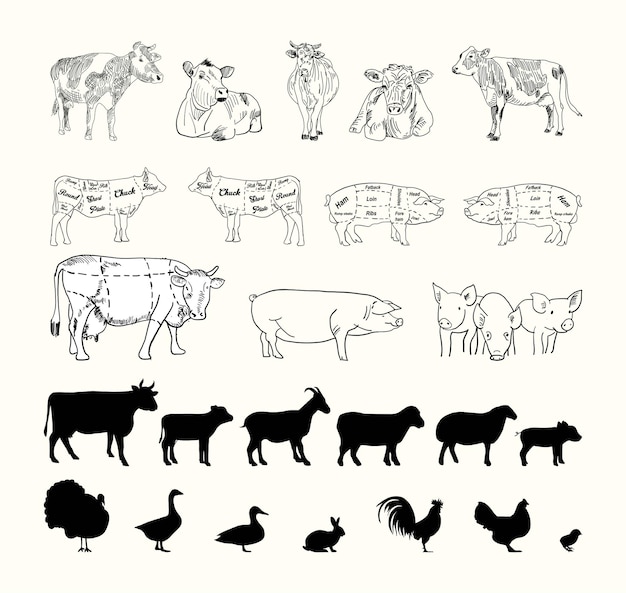 Siluetas vectoriales de animales de granjaVector