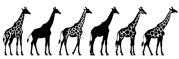 Las siluetas del zoológico y África de jirafas establecen un gran paquete de diseño de silueta vectorial con fondo aislado