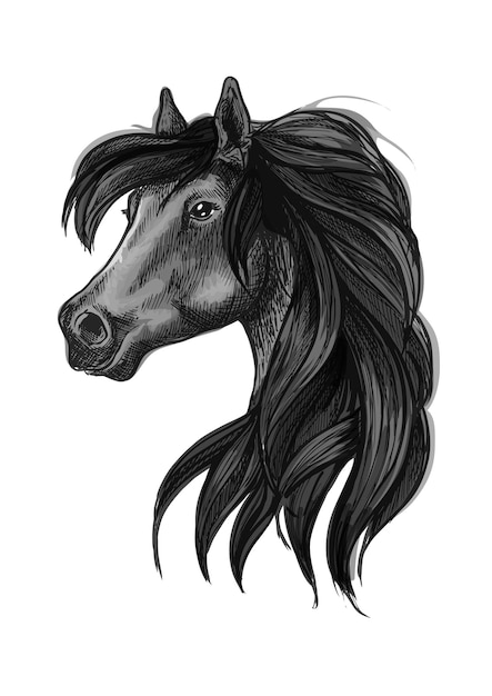 Vector símbolo de cabeza de caballo árabe negro
