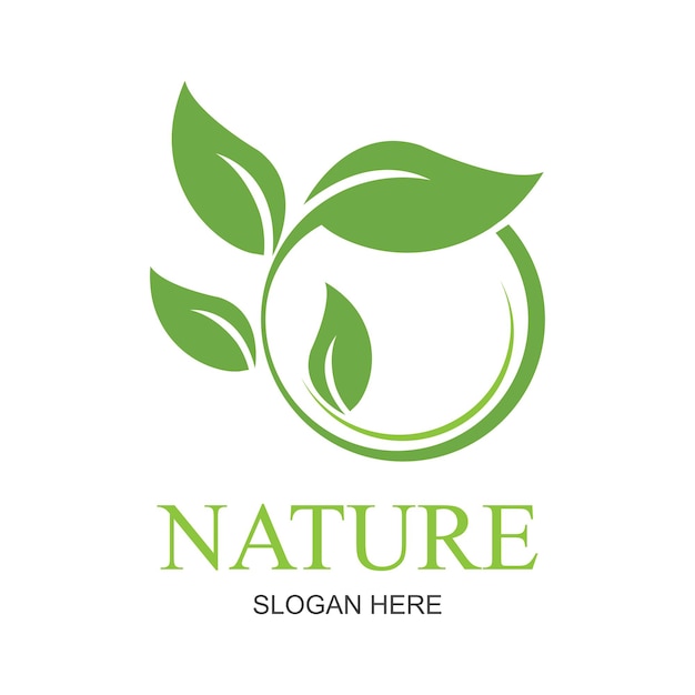 Símbolo creativo de la naturaleza concepto orgánico cuidado de la salud a base de hierbas biológicas resumen de negocios eco logotipo paquete de círculo de alimentos frescos belleza flora icono de farmacia identidad corporativa logotipo de la compañía gráfico