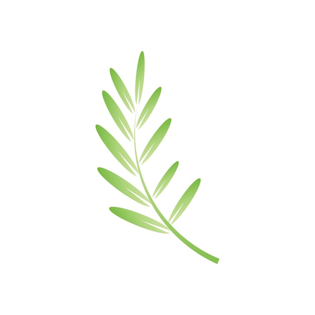 Símbolo y diseño de la plantilla vectorial del logotipo de la palmera de hoja