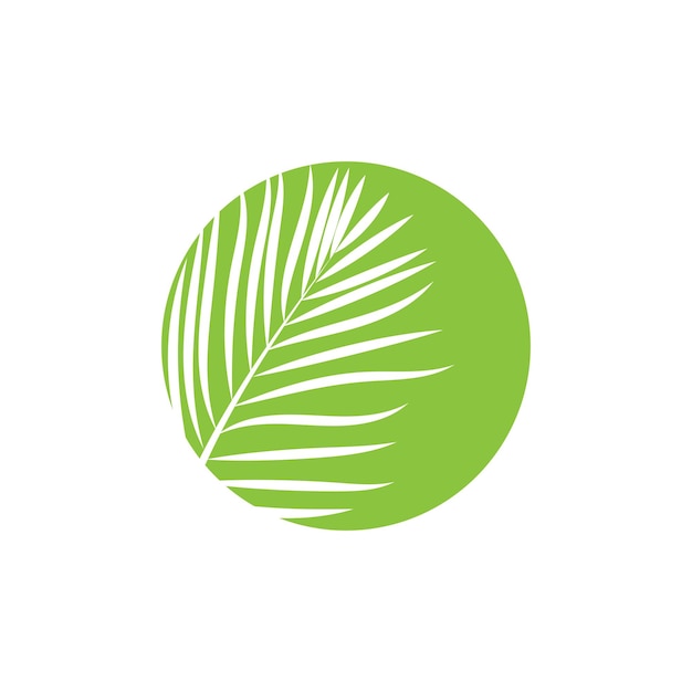 Símbolo y diseño de la plantilla vectorial del logotipo de la palmera de hoja