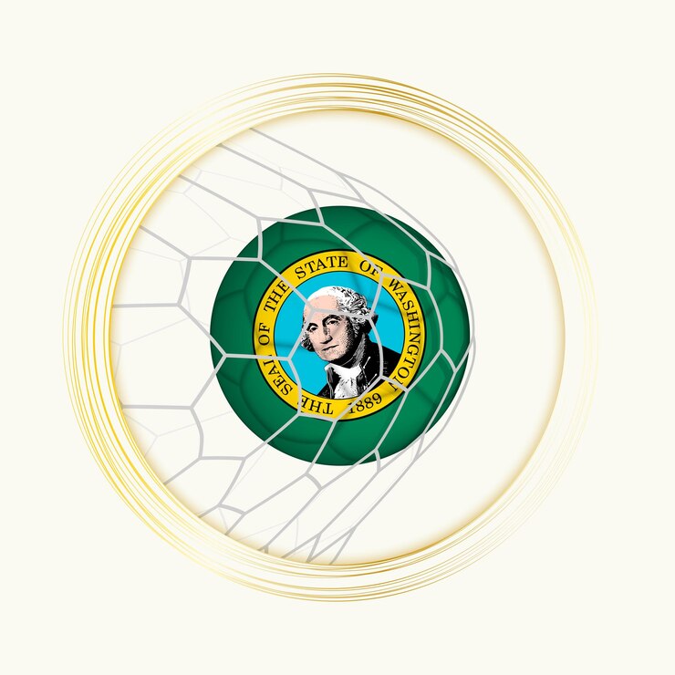 Vector símbolo de fútbol abstracto con ilustración de la pelota de washington en la red de fútbol