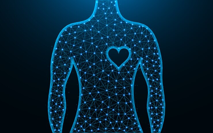 Vector símbolo de hombre y corazón diseño de baja poli, imagen geométrica abstracta de salud humana, ilustración de vector poligonal de malla de alambre hecha de puntos y líneas