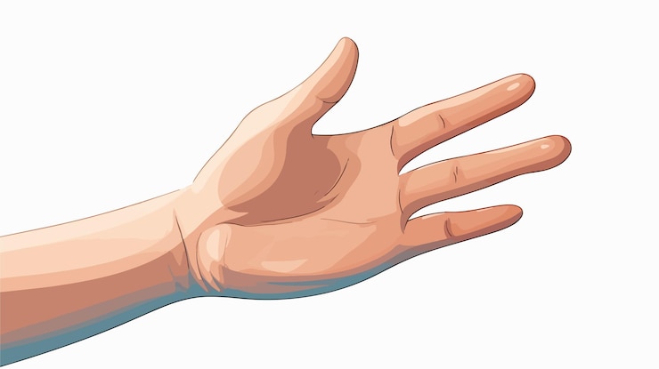 Vector símbolo de la mano extendida vector plano aislado sobre fondo blanco