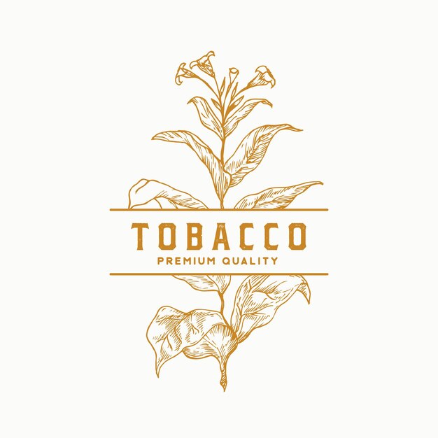 Símbolo de signo de vector abstracto de hoja de tabaco de calidad superior o plantilla de logotipo ...