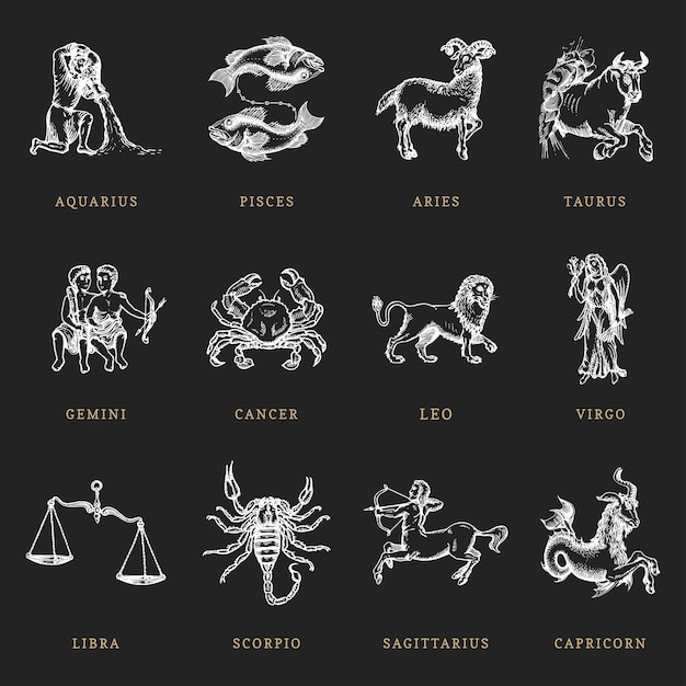 Símbolos del zodiaco establecidos dibujados a mano en estilo de grabado ilustración retro gráfica vectorial de signos astrológicos