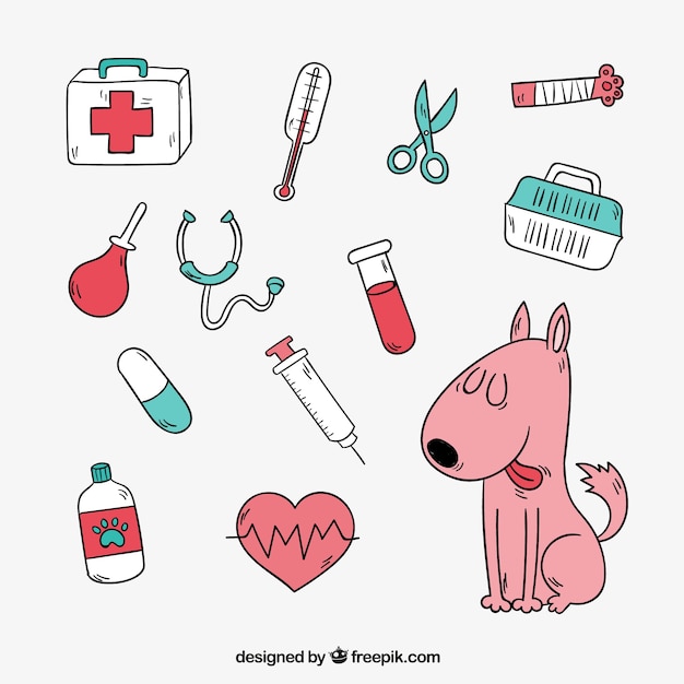 Vector simpático perro con elementos de veterinaria