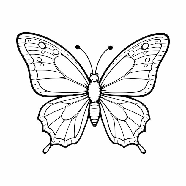 Un simple dibujo en blanco y negro de una mariposa para niños de página de colorear