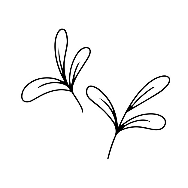 Una simple hoja de una planta de verano Ilustración vectorial aislada en un fondo blanco