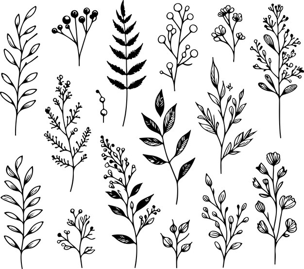 simple obra de arte de línea vectorial botánica fondo blanco aislado