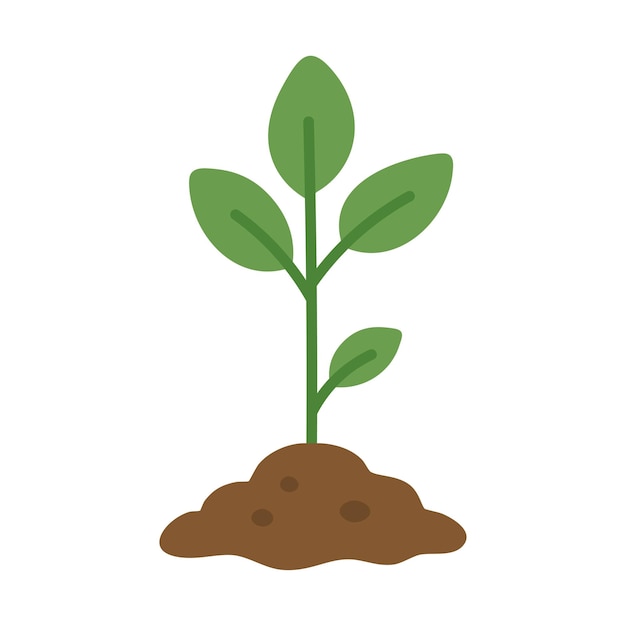 Simple plántula verde con hojas que crecen del suelo Símbolo de crecimiento naturaleza y estilo de vida ecológico