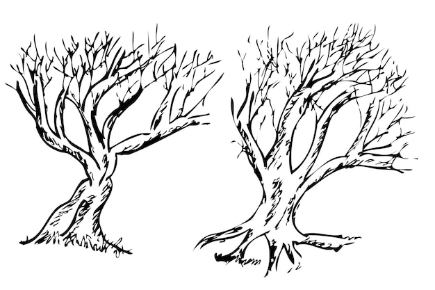 Simple Set 2 Vector Hand Draw Sketch, gran árbol muerto