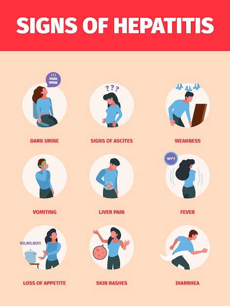 Síntomas de hepatitis ilustraciones infográficas médicas problemas de salud dolor de cabeza enfermedad frío infección vectorial chillona imagen de visualización