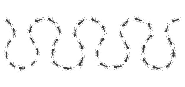Un sinuoso camino de hormigas. Los insectos marchan a lo largo de la línea. Ilustración vectorial