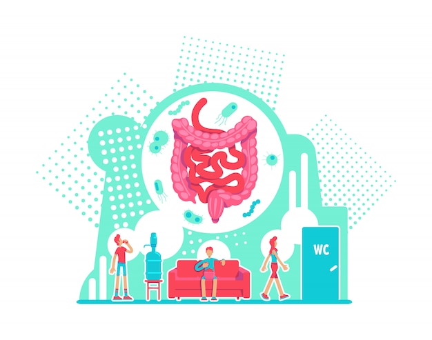 Vector sistema digestivo cuidado de la salud concepto plano ilustración vectorial. anatomía del intestino grueso. la prevención de enfermedades. personajes de dibujos animados 2d de estilo de vida saludable