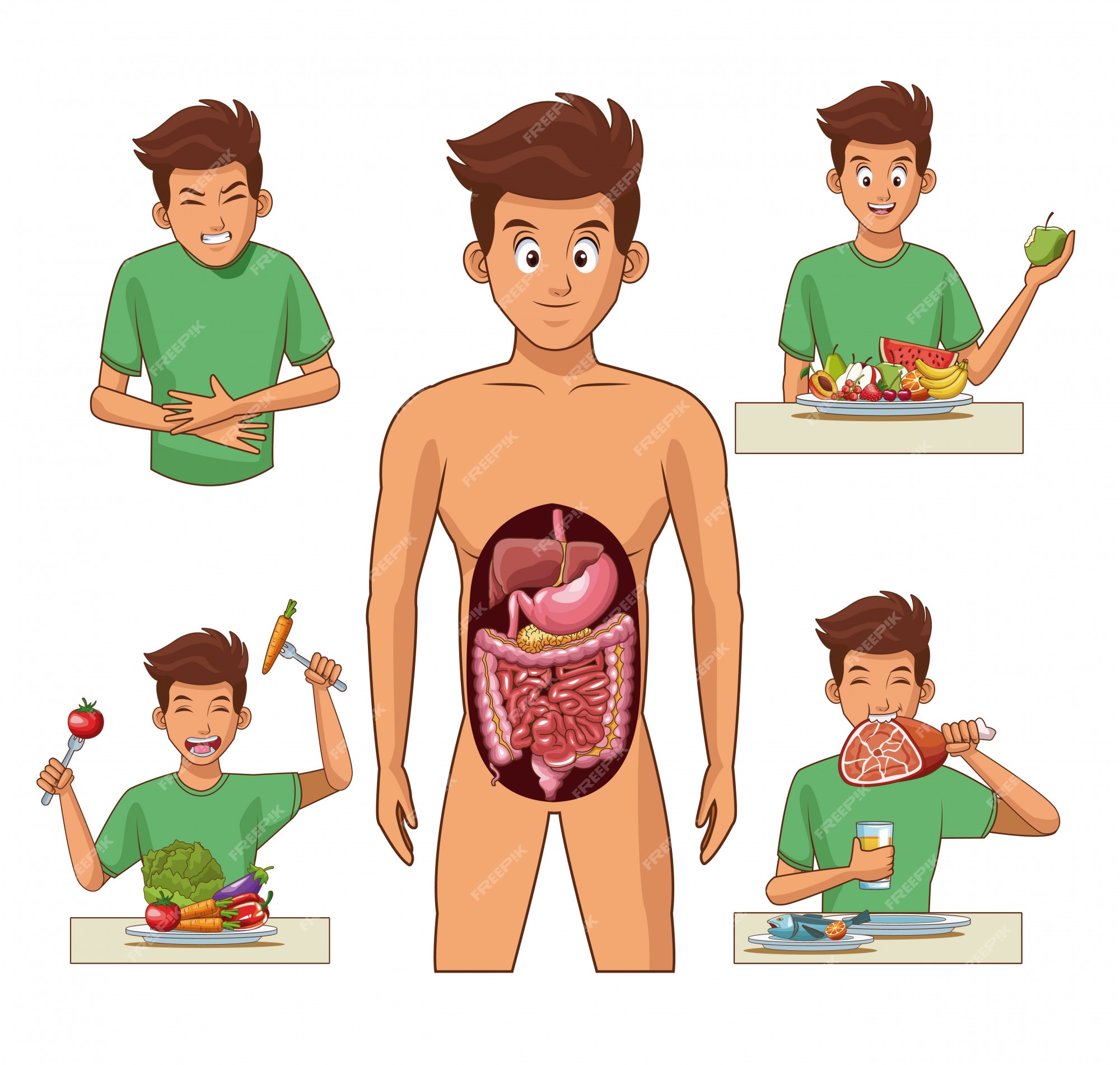 Sistema digestivo y dibujos animados de hombre joven | Vector Premium