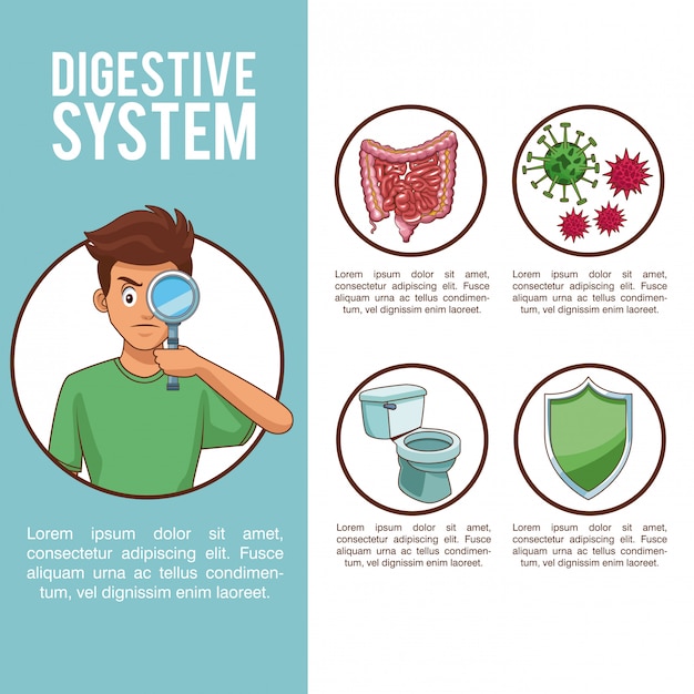 Sistema digestivo y joven con símbolos redondos