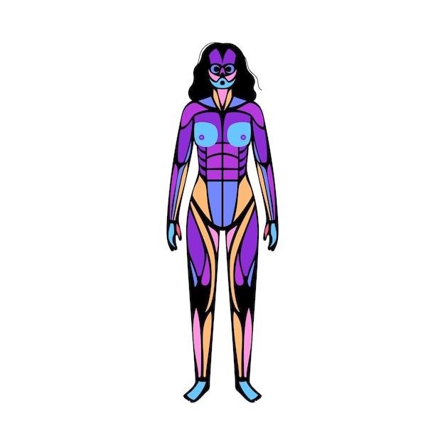 Vector sistema muscular humano