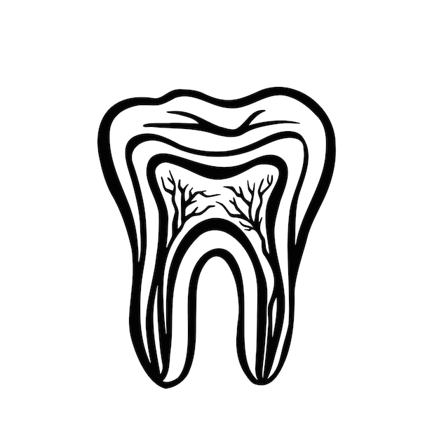 Sistema nervioso del vector monocromo de estomatología dental recortada del diente