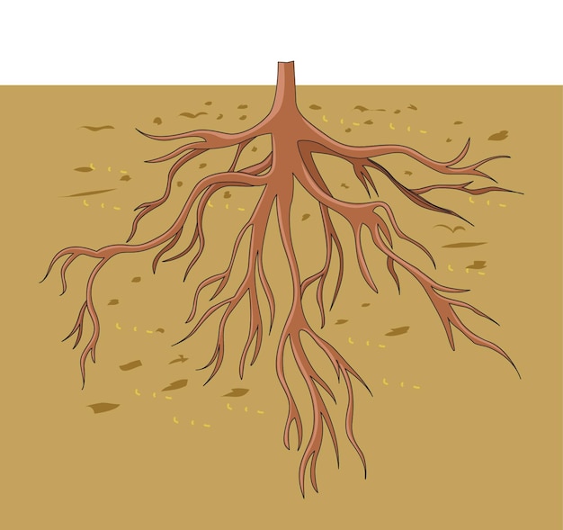 Vector sistema de raíces bajo tierra