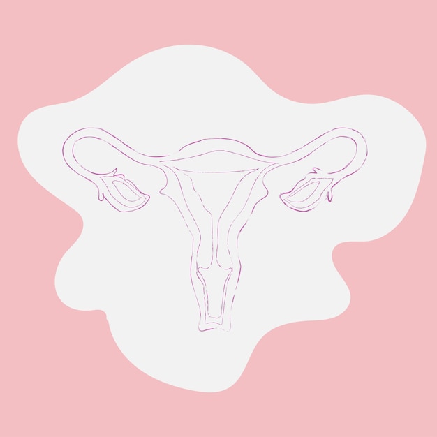 Sistema reproductivo femenino útero ovario mujeres niña