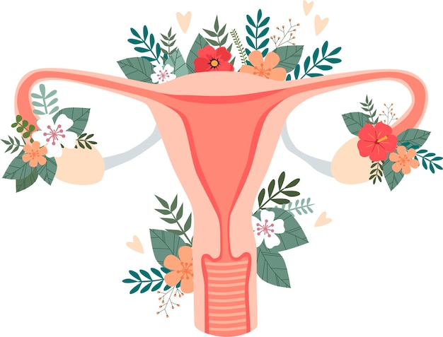 Un sistema reproductor femenino con flores. ilustración vectorial